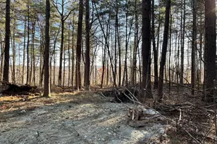 Lot 38A&29 Michael Sears, Belchertown, MA 01007 - Photo 1