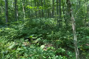 94 Pine St, Rehoboth, MA 02769 - Photo 1