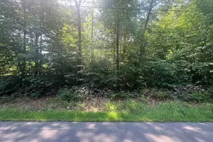 0 Maple Swamp Rd, Dighton, MA 02764 - Photo 1