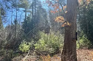 0 Neale Rd, Royalston, MA 01368 - Photo 1