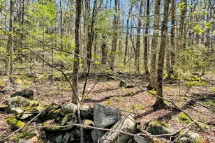 Lot 13 Skyline, Chester, MA 01011 - Photo 1