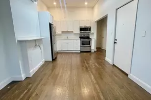 84 Mt Pleasant Ave, Boston, MA 02119 - Photo 1