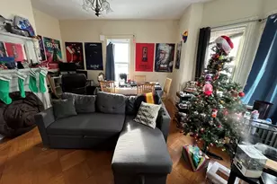 142 Saint Alphonsus, Boston, MA 02120 - Photo 1