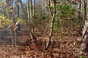 16 Mudnock Rd, Salisbury, MA 01952 - Photo 1