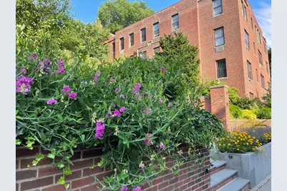 311 Tappan Street #1, Brookline, MA 02445 - Photo 1