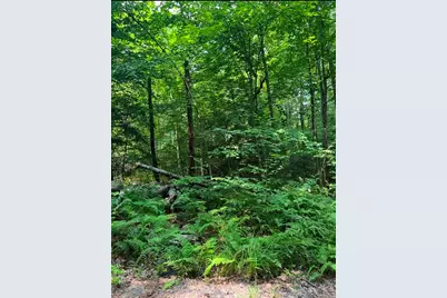 0 Laurel Lake Road, Royalston, MA 01368 - Photo 1