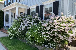 26 Court St, Dedham, MA 02026 - Photo 1