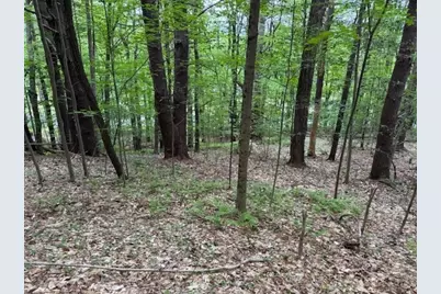 56 Brattleboro Rd, Bernardston, MA 01337 - Photo 1