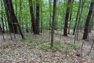 56 Brattleboro Rd, Bernardston, MA 01337 - Photo 1