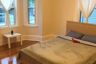 254 Amory St, Boston, MA 02130 - Photo 1