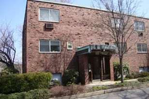 53 St Paul, Brookline, MA 02446 - Photo 1