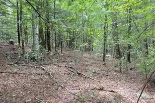 0 John Ford Rd, Ashfield, MA 01330 - Photo 1