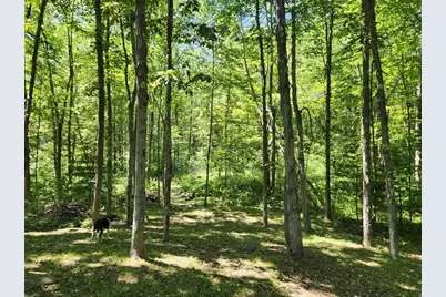 Lot 7 Delargy Rd, Hardwick, MA 01037 - Photo 1