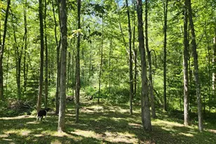 Lot 7 Delargy Rd, Hardwick, MA 01037 - Photo 1