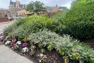 1731 Beacon St, Brookline, MA 02445 - Photo 1