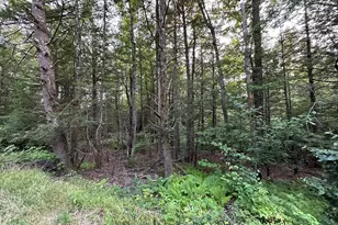 0 Shaw Rd, Cummington, MA 01026 - Photo 1