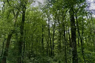 58 Peck St, Rehoboth, MA 02769 - Photo 1