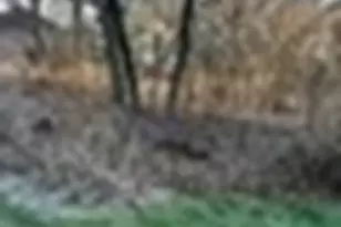 0 McKinley Ave, South Hadley, MA 01075 - Photo 1