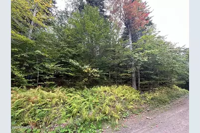 0 Manley Phelps Road, Monroe, MA 01350 - Photo 1