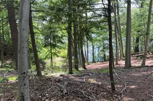 123 Dudley, Wayland, MA 01778 - Photo 1