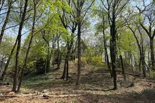 29 Rockland St, Wellesley, MA 02481 - Photo 1