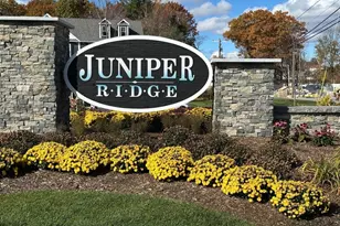 11 Elise Ave, Londonderry, NH 03053 - Photo 1