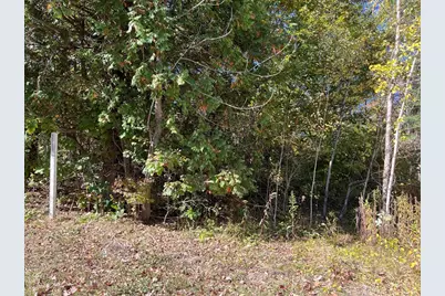 0 Otis Stage Rd, Blandford, MA 01008 - Photo 1