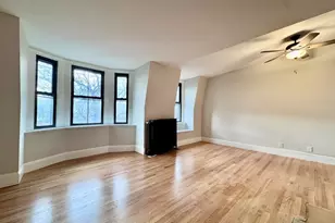 169 W Brookline St, Boston, MA 02118 - Photo 1