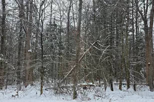 1154 Colebrook River Rd, Tolland, MA 01034 - Photo 1