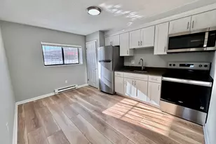 837 River St, Boston, MA 02136 - Photo 1