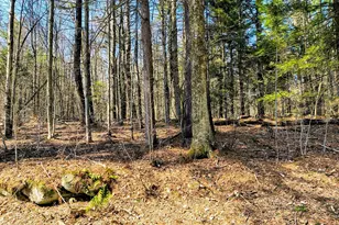 Lot 16/11 Porcupine Courts, Becket, MA 01223 - Photo 1
