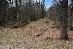 0 Tunnel Rd, Rowe, MA 01367 - Photo 1