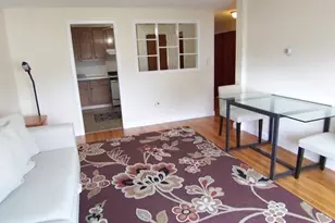215 Massachusetts Ave, Arlington, MA 02474 - Photo 1
