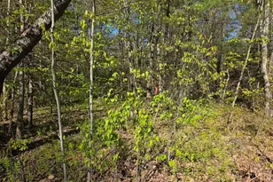 Lot 14 West St, Ludlow, MA 01056 - Photo 1