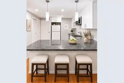 121 Tremont St #420, Boston, MA 02135 - Photo 1