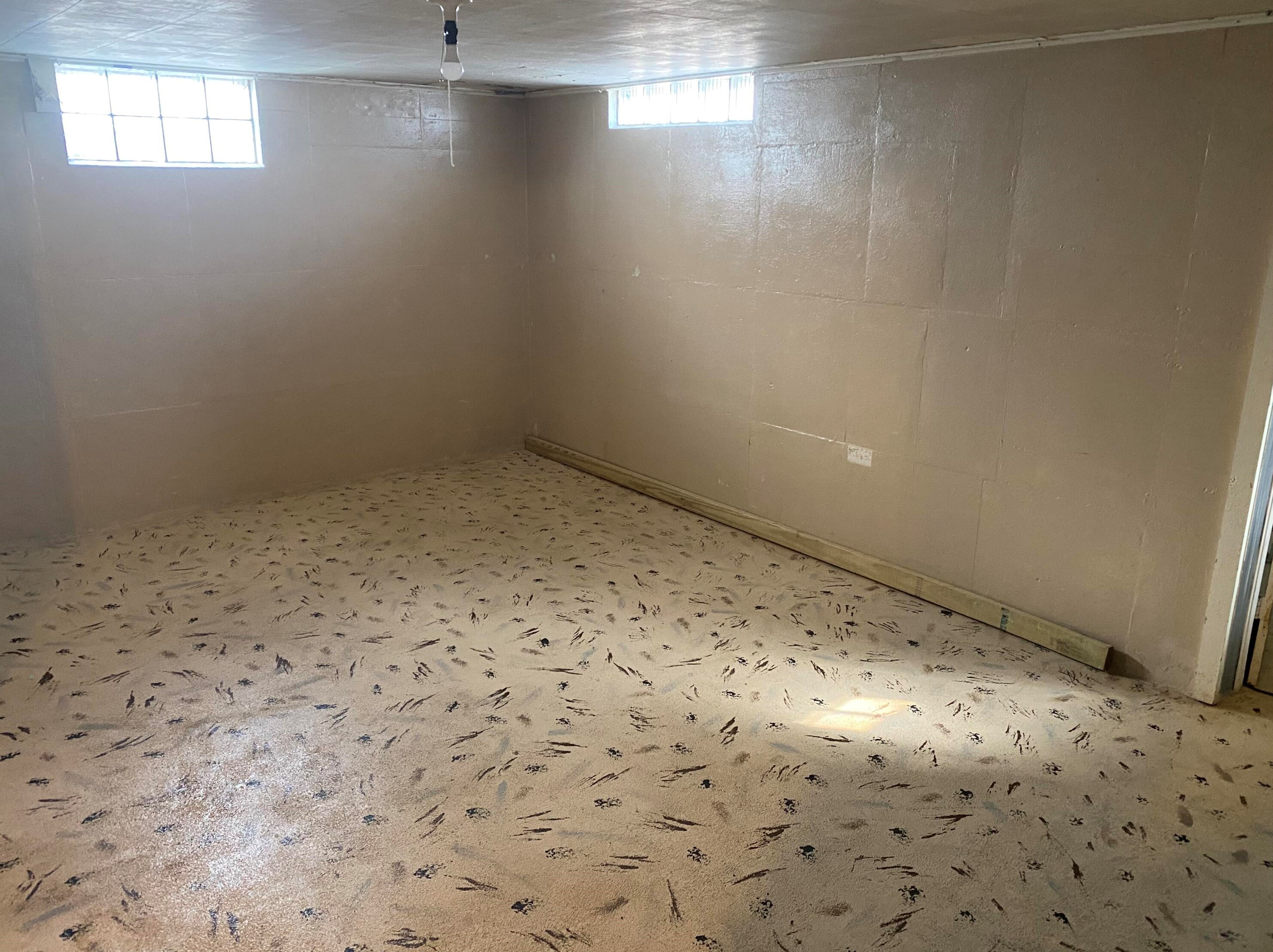 155 Harriet St, Clintonville WI  54929-1001 exterior