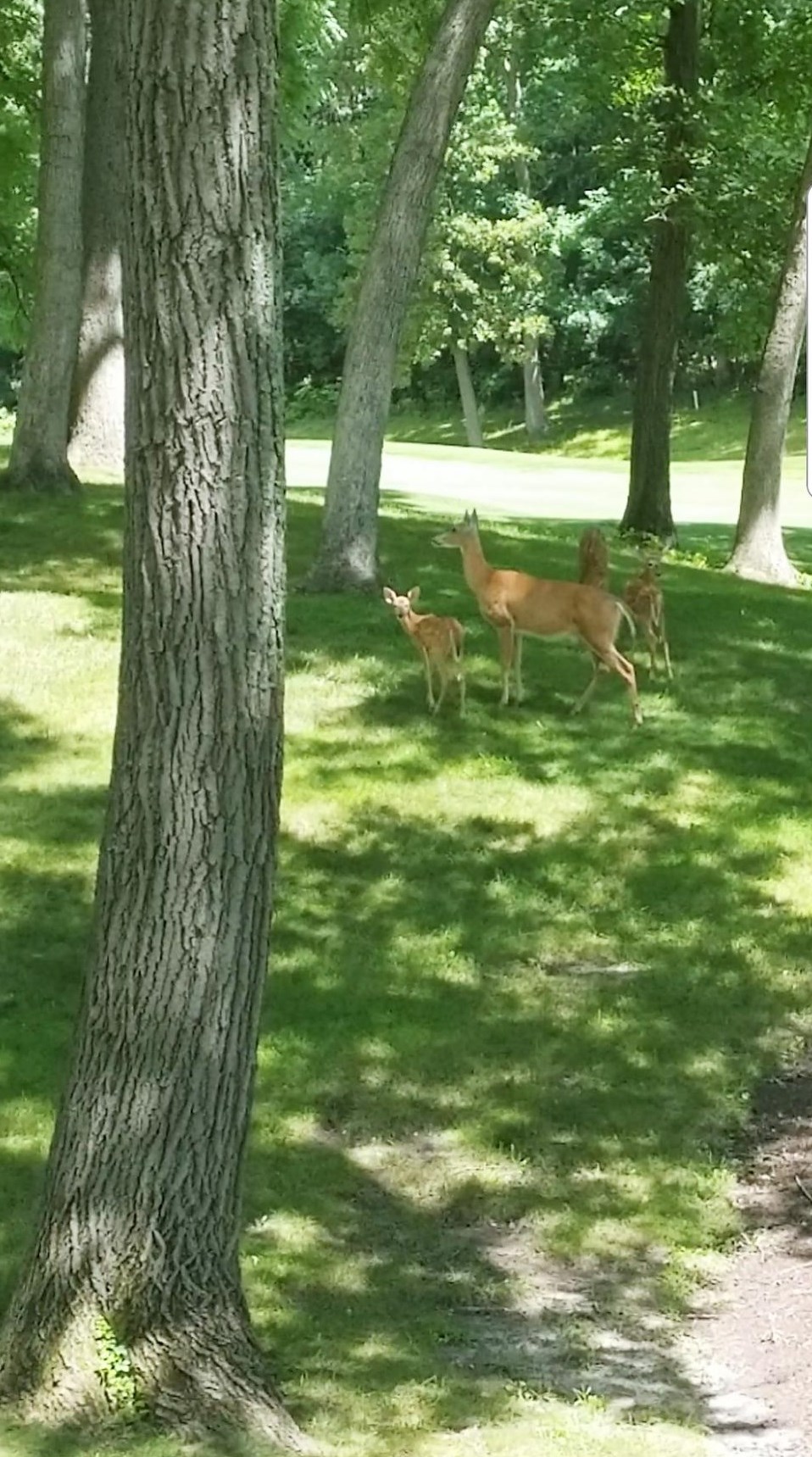 1237 Geneva National Ave, Lake Geneva WI  53147-4829 exterior