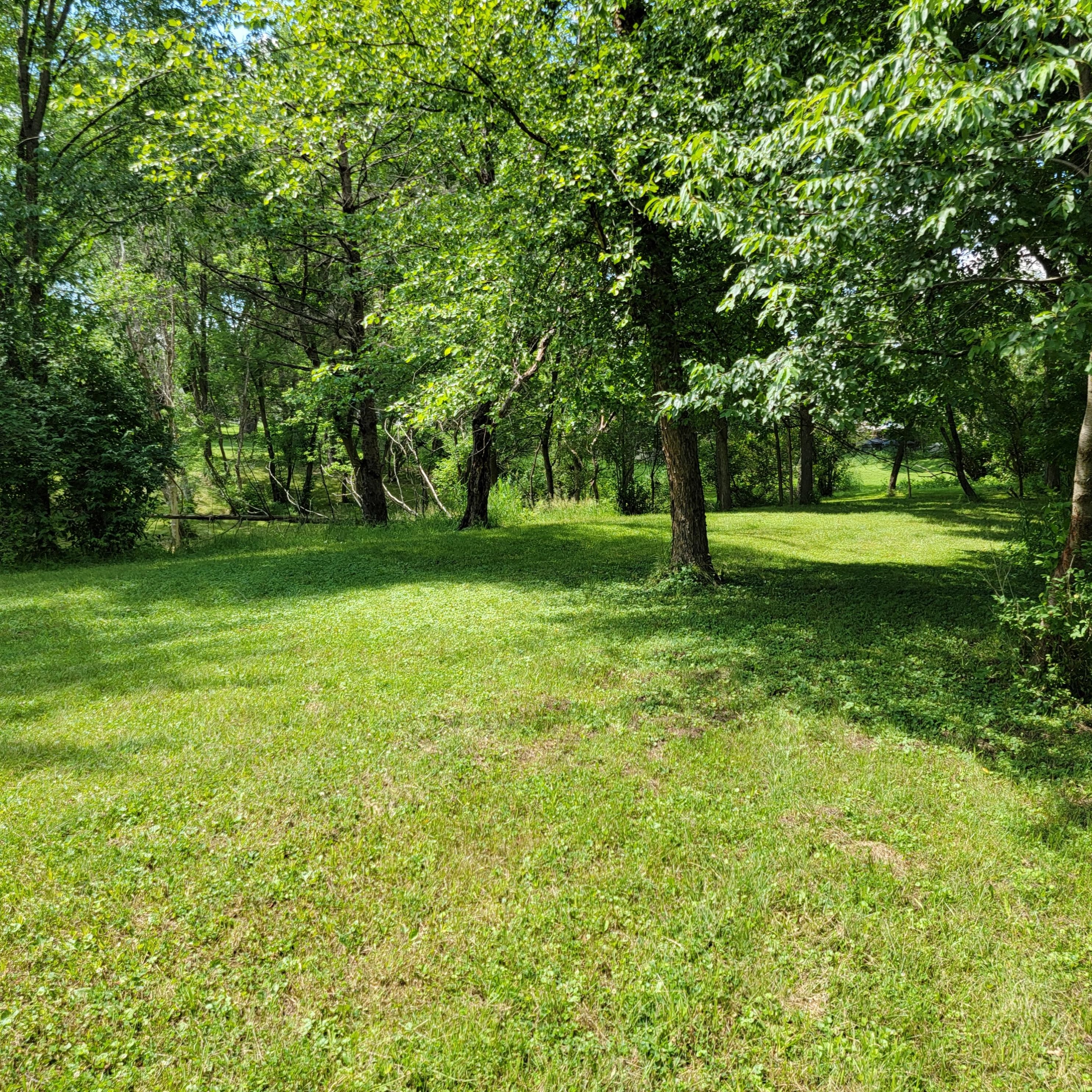 804 Washington St, Melrose WI 54642-7300 exterior