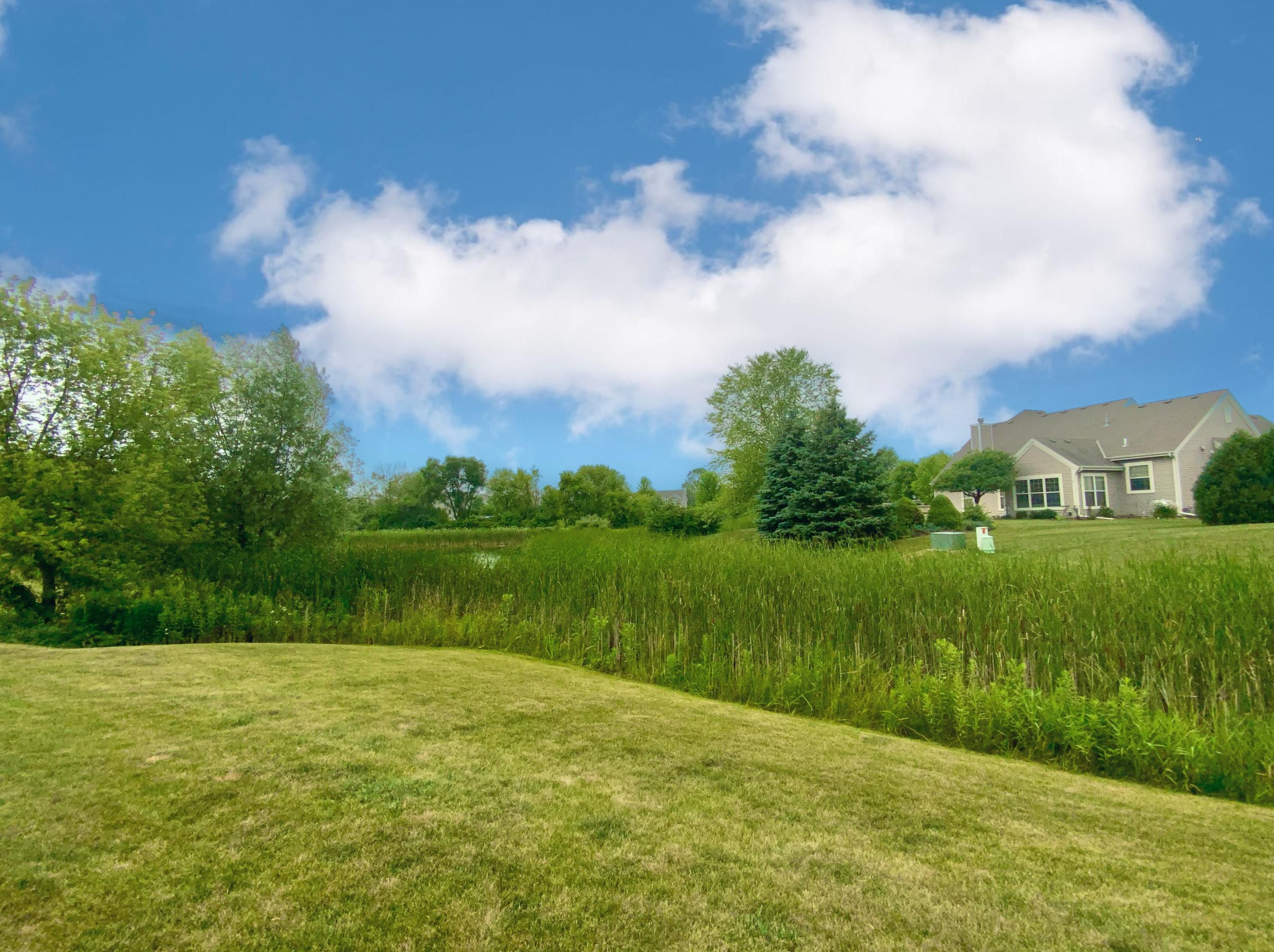 7957 Lakeview Dr, Hales Corners WI  53132-7910 exterior