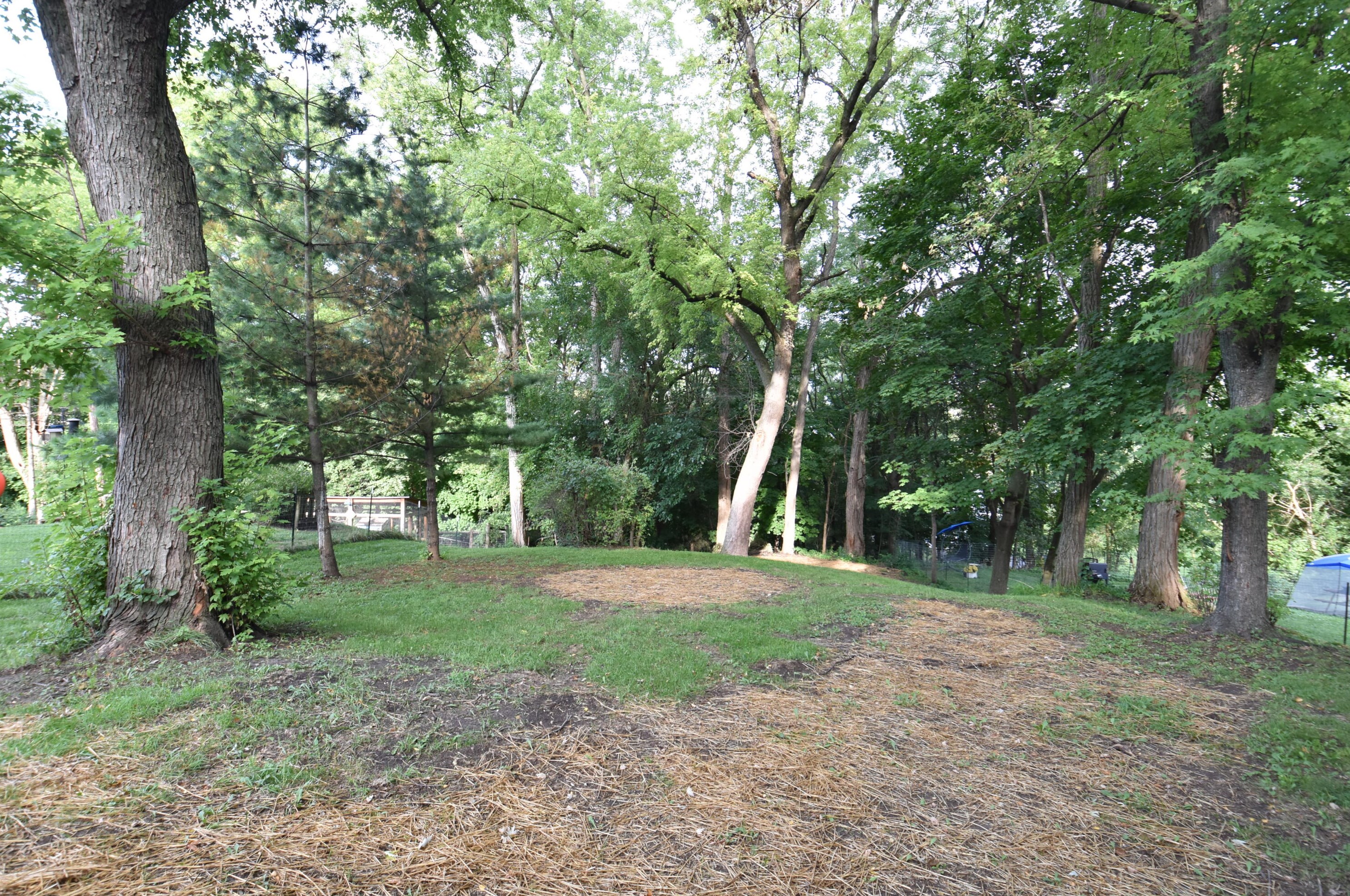 310 5th St, Delavan WI  53115-1814 exterior