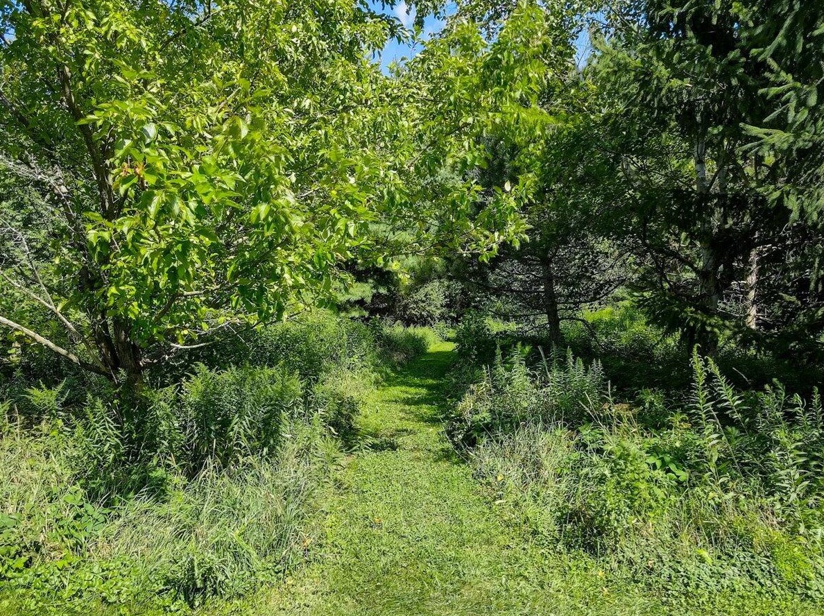 204 Laurel Cir, Delafield WI 53018-1162 exterior