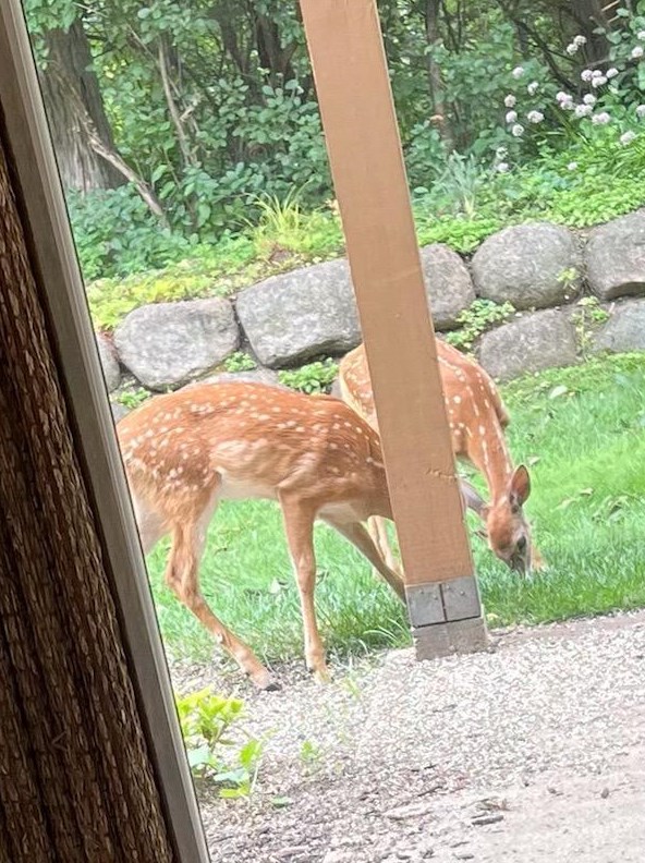 303 Parkview Ct, Chenequa WI exterior