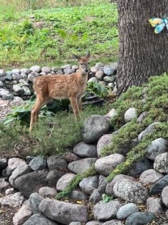 4702 Willow Creek Ln, Sheboygan WI  53083-2158 exterior