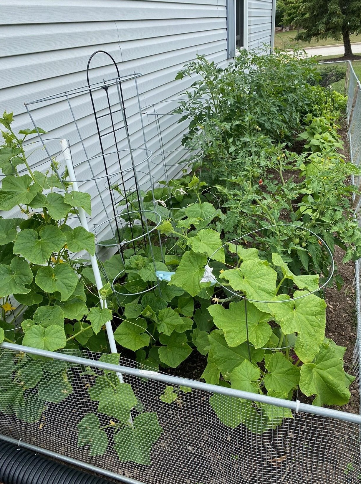 3978 Madison Blvd, Hales Corners WI  53132-9426 exterior