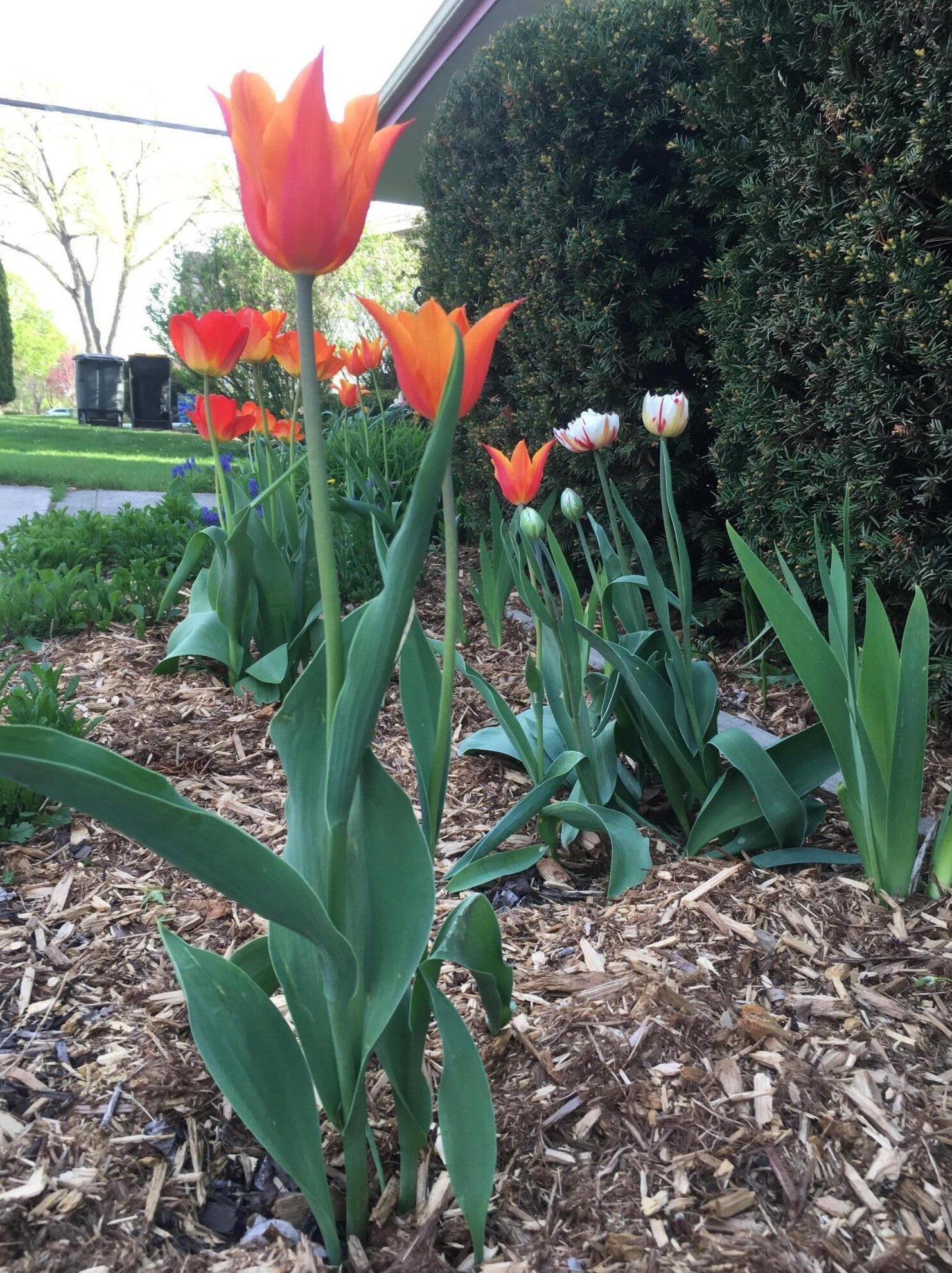 4617 109, Milwaukee WI 53225-4405 exterior