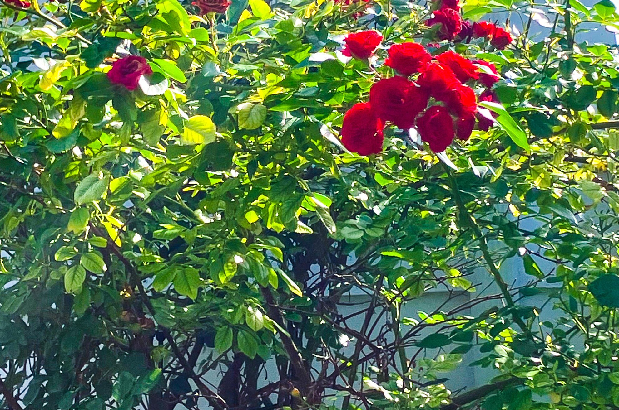 1238 Jones Ave, Racine WI 53402-4524 exterior