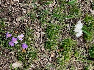 3722 Mary Ann Dr, Hales Corners WI  53132-9319 exterior