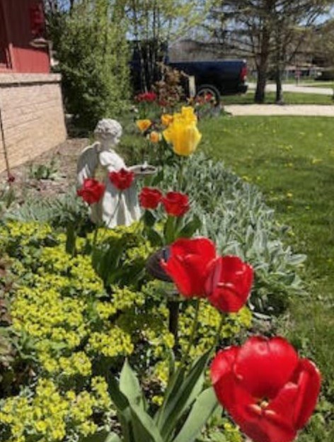 3722 Mary Ann Dr, Hales Corners WI  53132-9319 exterior