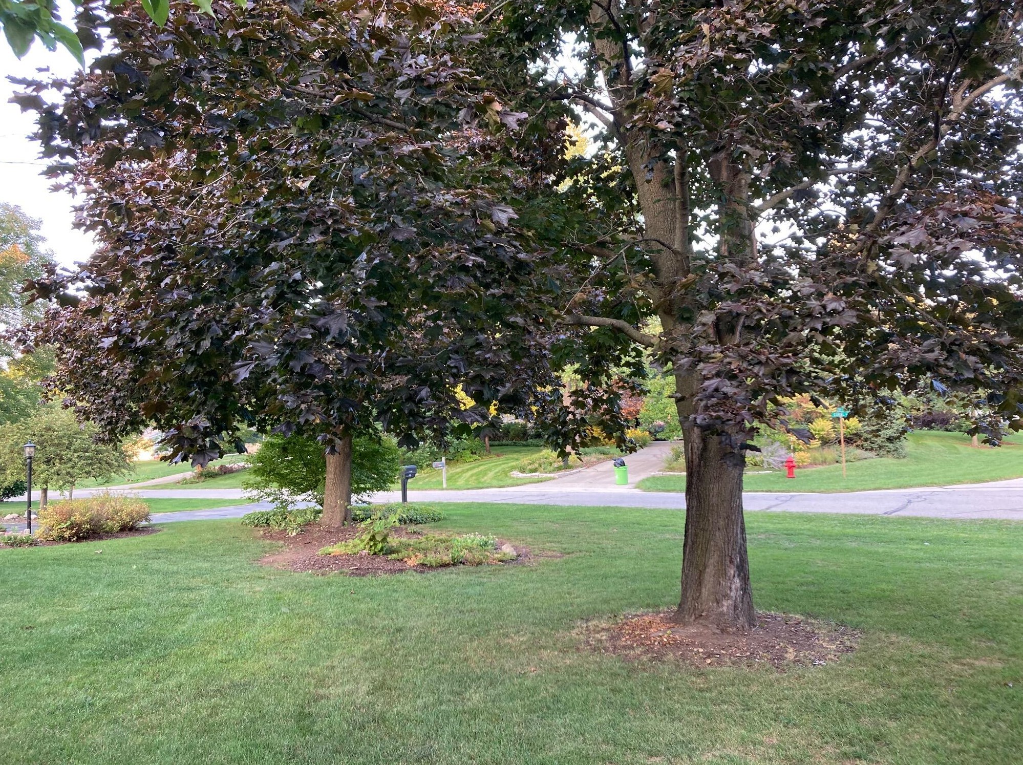 4515 Coral Dr, Brookfield WI  53045-1326 exterior