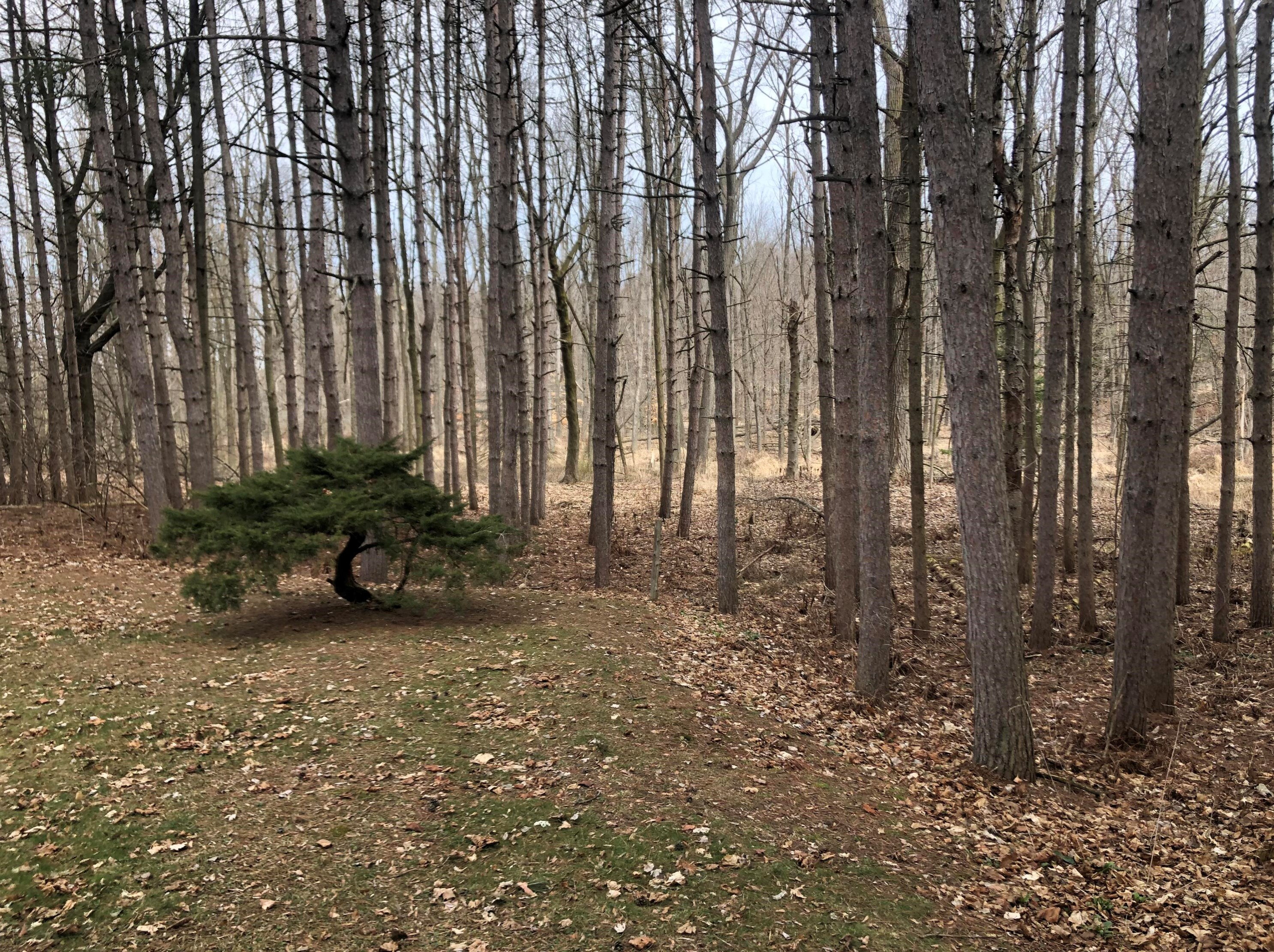 1314 Stahl Rd, Sheboygan WI 53081-8894 exterior